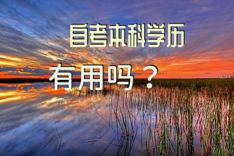 自考本科学历有用吗？