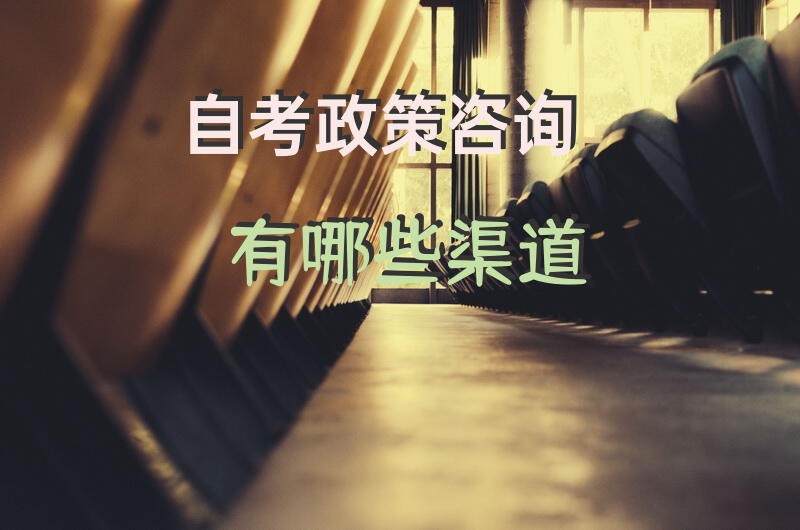 自考政策咨询有哪些渠道？