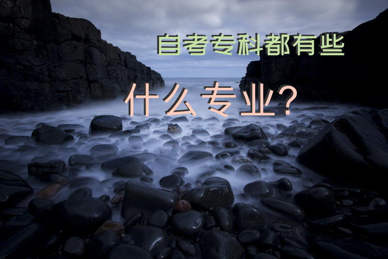 自考专科都有些什么专业？