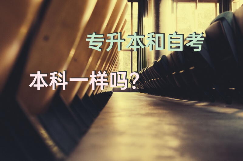 “专升本，和自考本科一样吗？