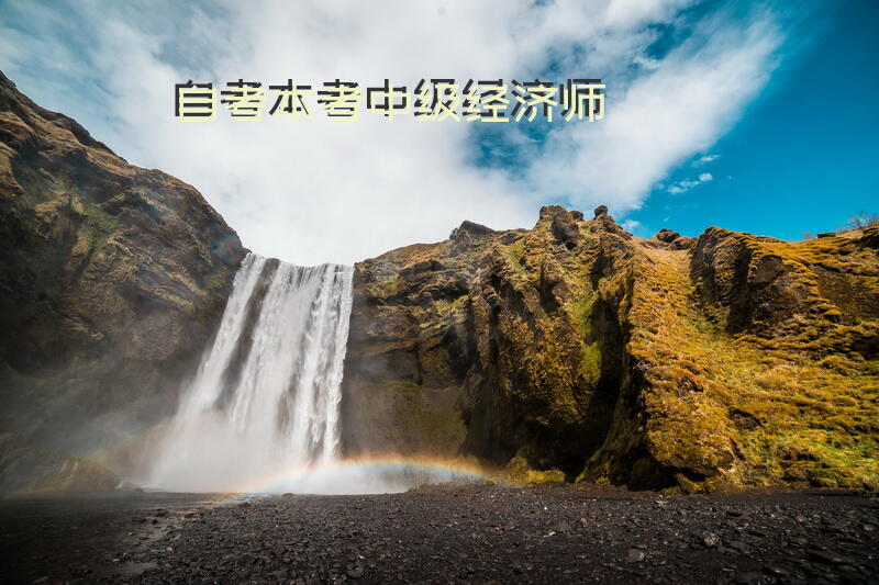 自考本考中级经济师
