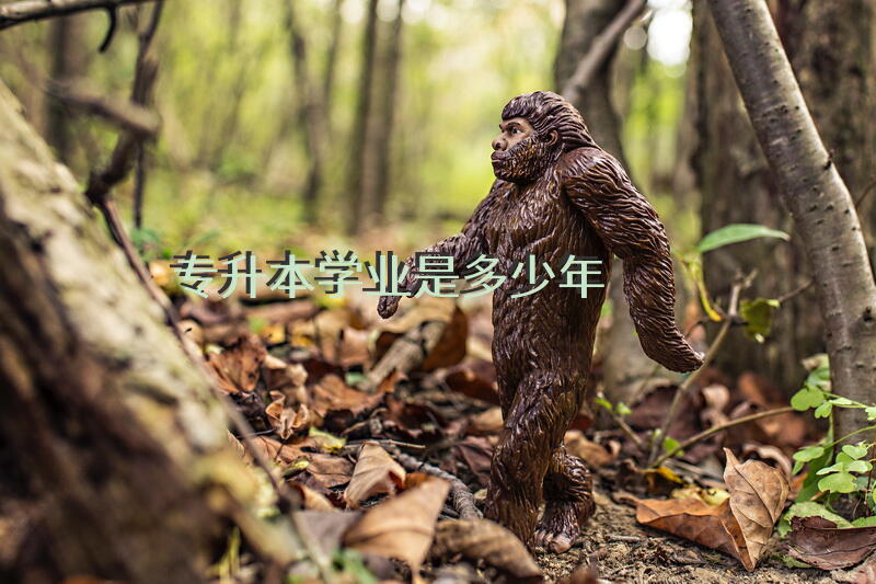 专升本学业是多少年