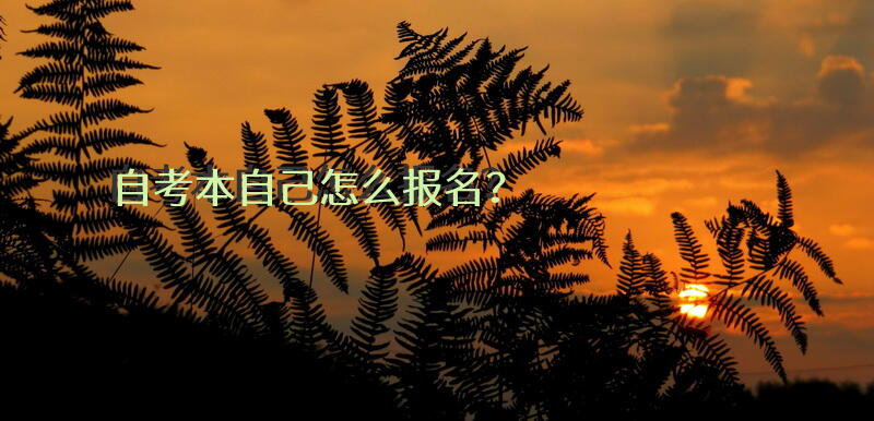 自考本自己怎么报名？