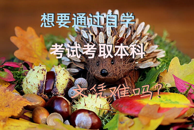 想要通过自学考试考取本科文凭难吗？