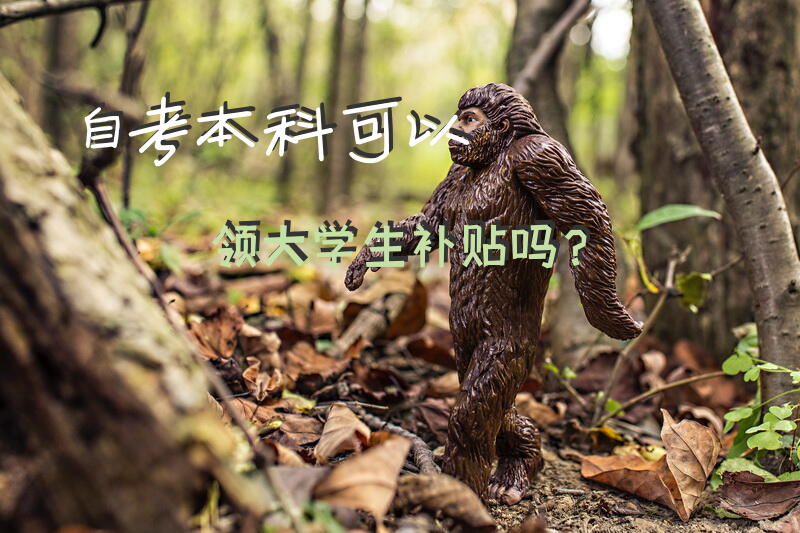自考本科可以领大学生补贴吗？