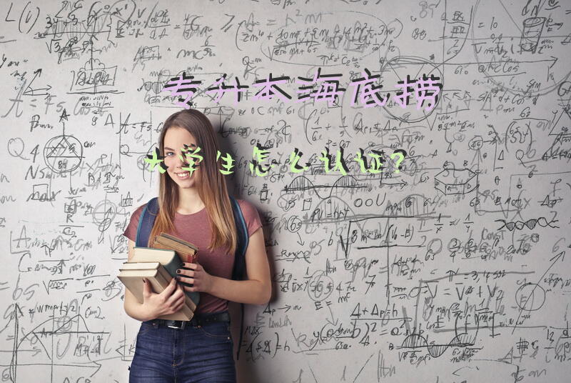 专升本海底捞大学生怎么认证？