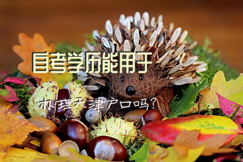 自考学历能用于办理天津户口吗？