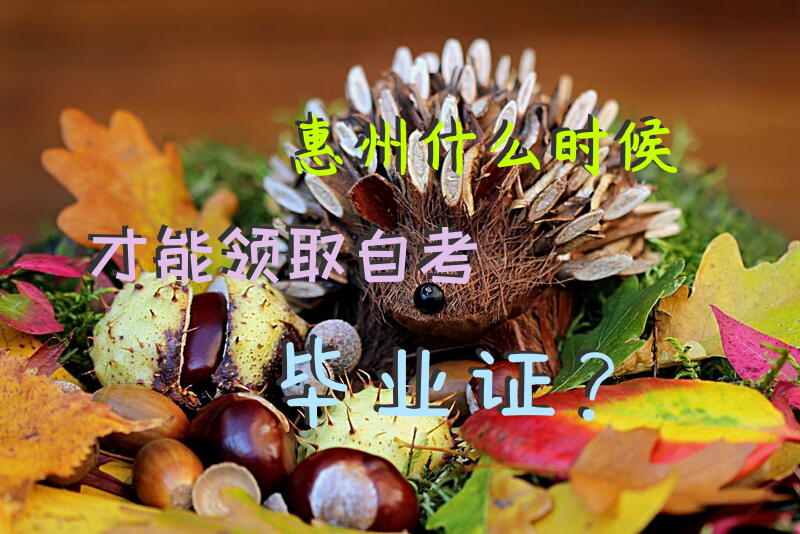 惠州什么时候才能领取自考毕业证？