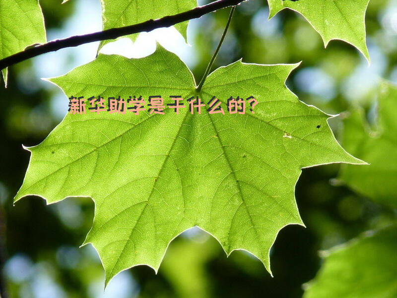 新华助学是干什么的？