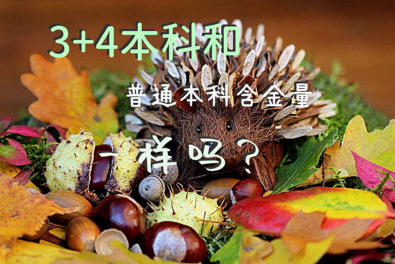 3+4本科和普通本科含金量一样吗？