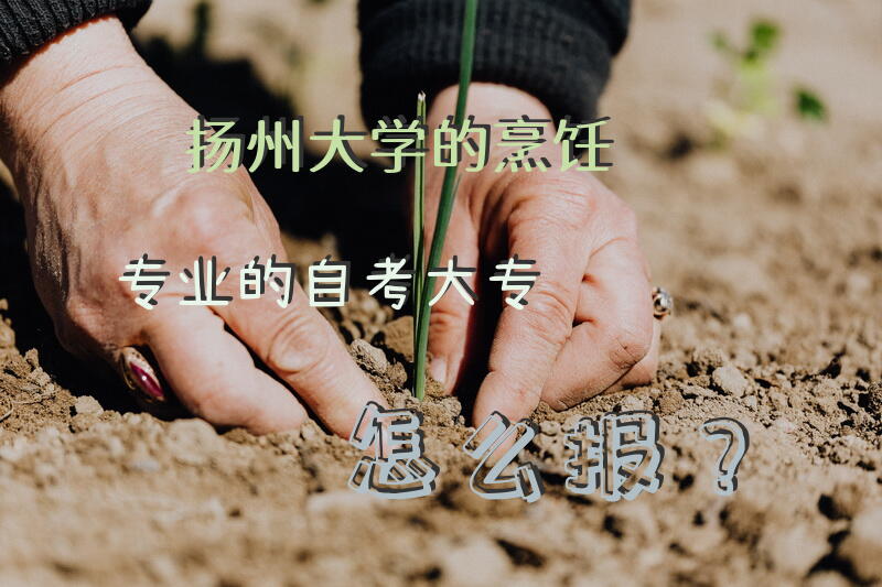 扬州大学的烹饪专业的自考大专怎么报？