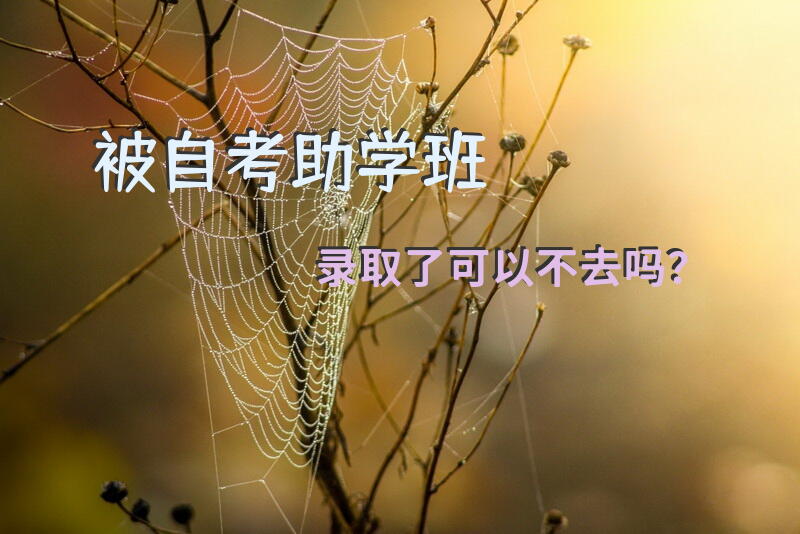 被自考助学班录取了可以不去吗？