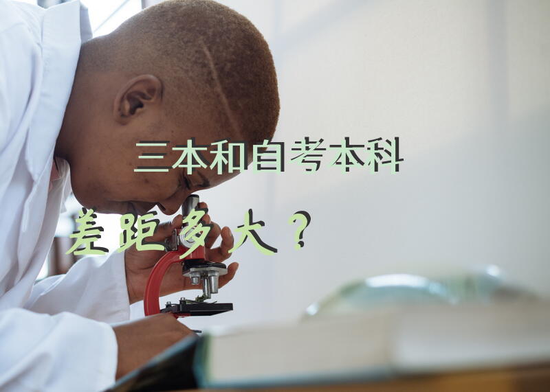 三本和自考本科差距多大？