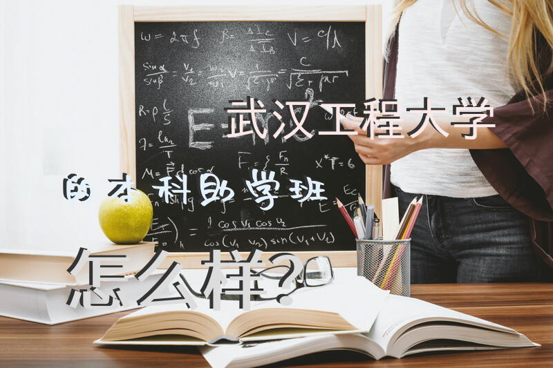 武汉工程大学的本科助学班怎么样？
