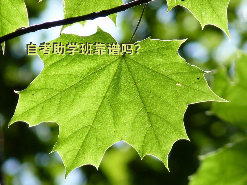 自考助学班靠谱吗？