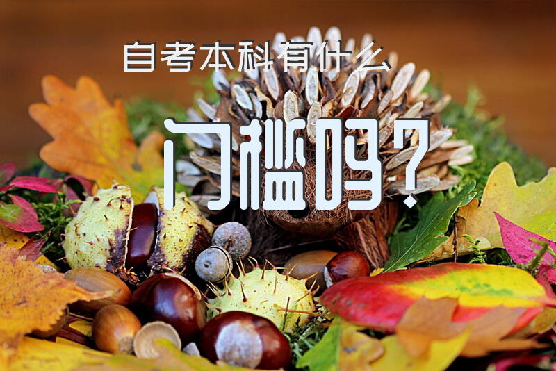 自考本科有什么门槛吗？