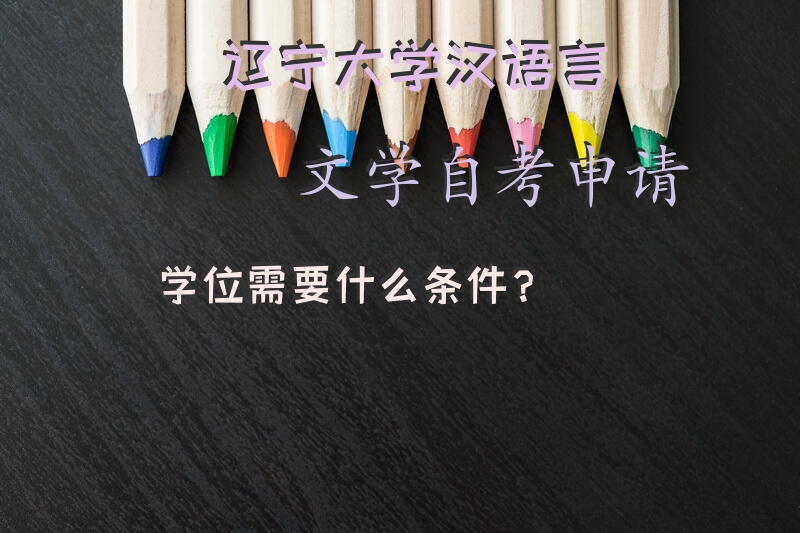 辽宁大学汉语言文学自考申请学位需要什么条件？