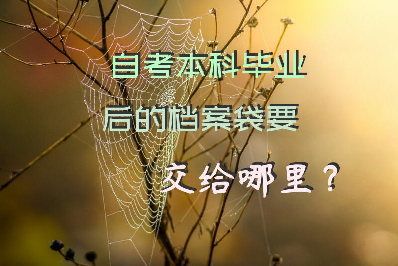 自考本科毕业后的档案袋，要交给哪里？