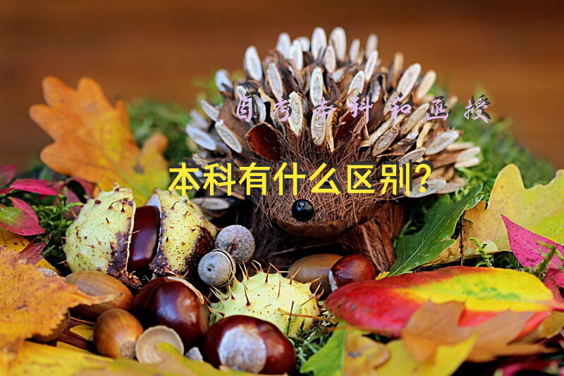 自考本科和函授本科有什么区别？