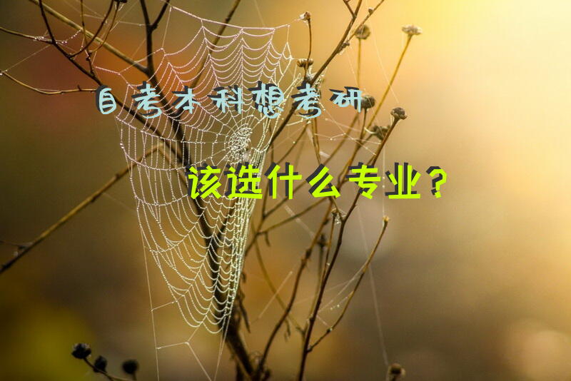自考本科想考研该选什么专业？