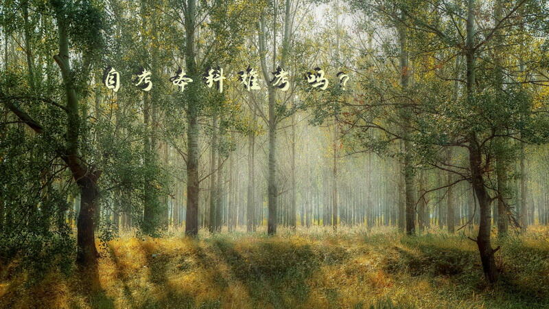 自考本科难考吗？