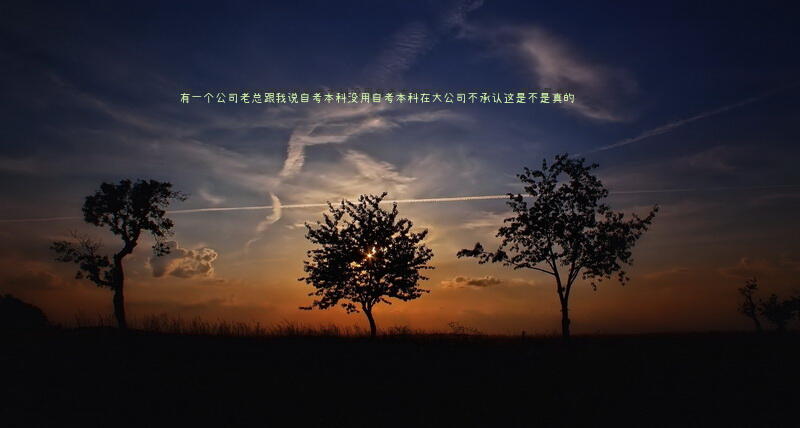 有一个公司老总跟我说自考本科没用，自考本科在大公司不承认，这是不是真的？
