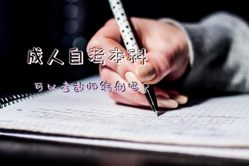 成人自考本科可以考教师编制吗？