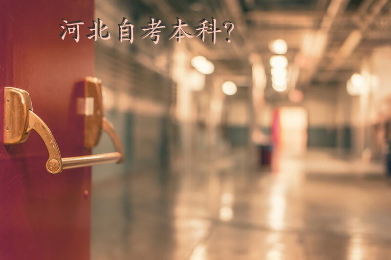河北自考本科？