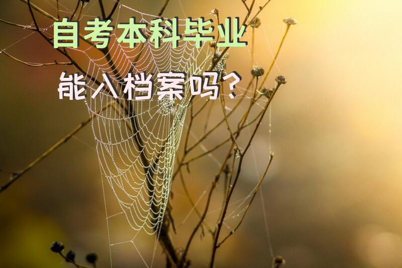 自考本科毕业能入档案吗？