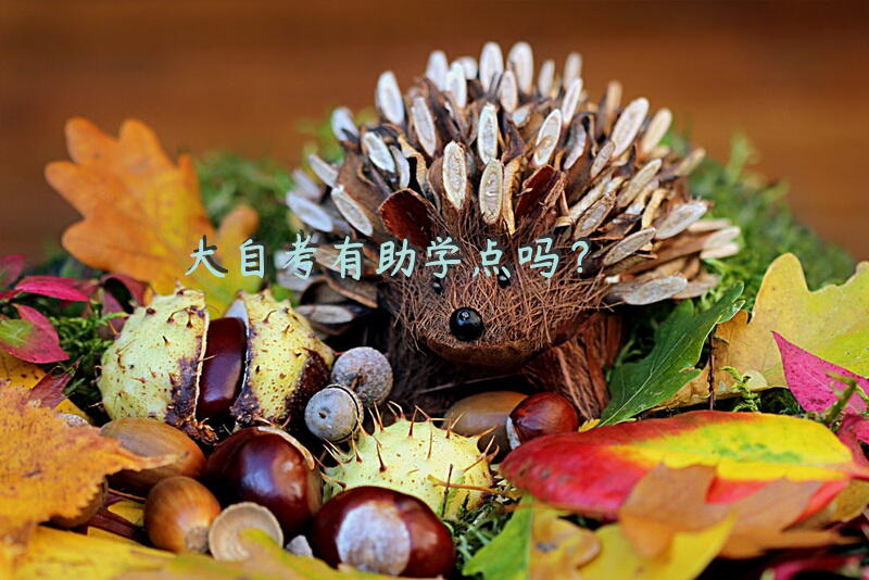 大自考有助学点吗？