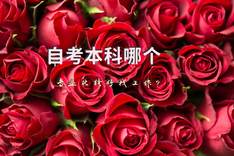 自考本科哪个专业比较好找工作？