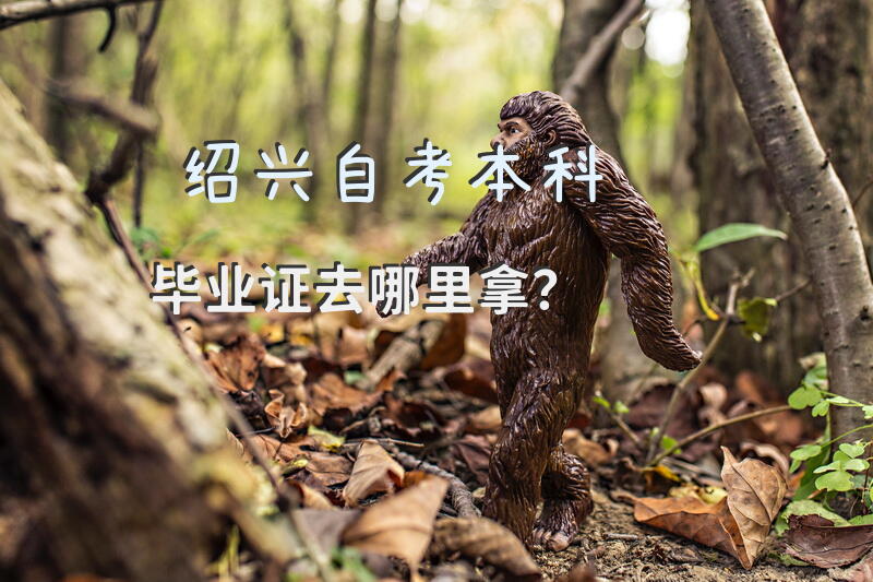 绍兴自考本科毕业证去哪里拿？