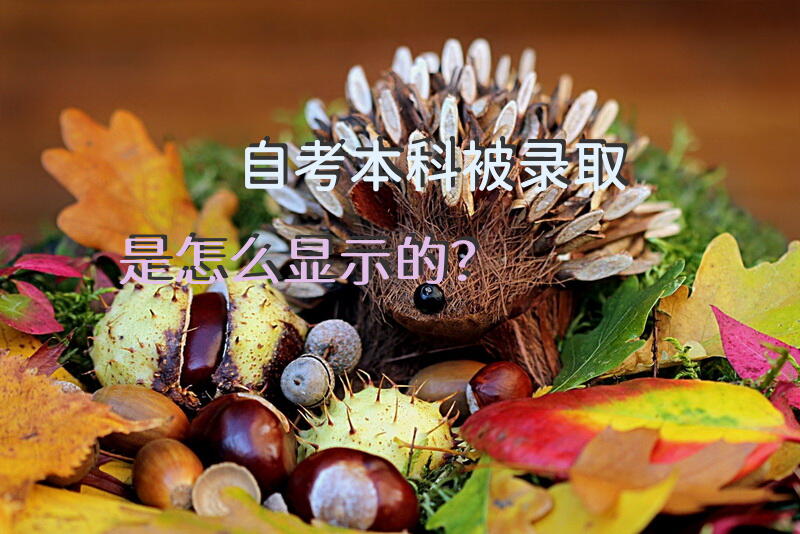 自考本科被录取是怎么显示的？