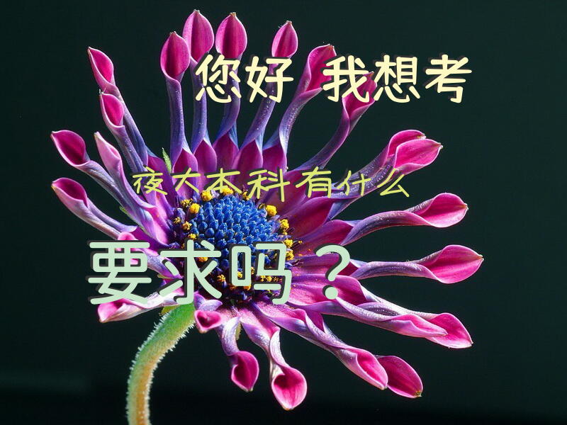 您好！我想考夜大本科，有什么要求吗？