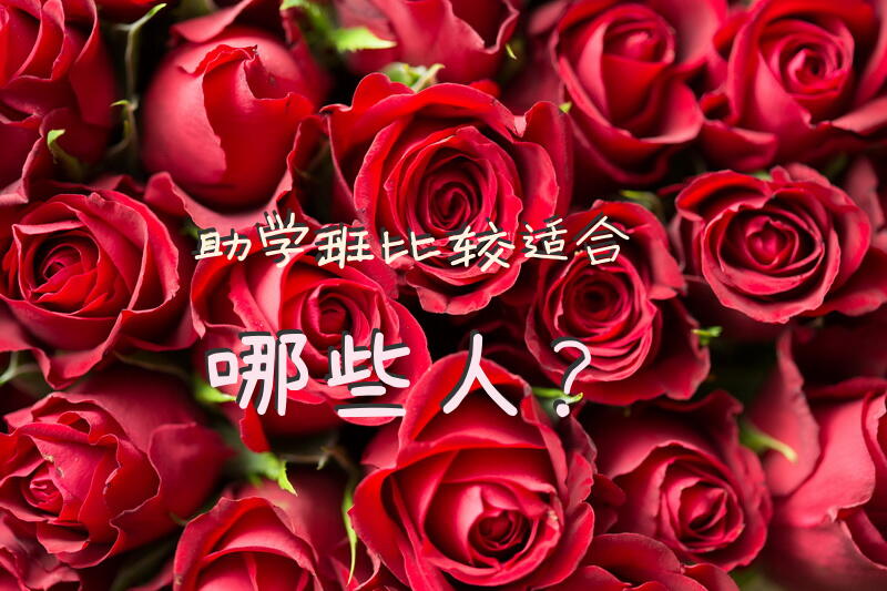 助学班比较适合哪些人？