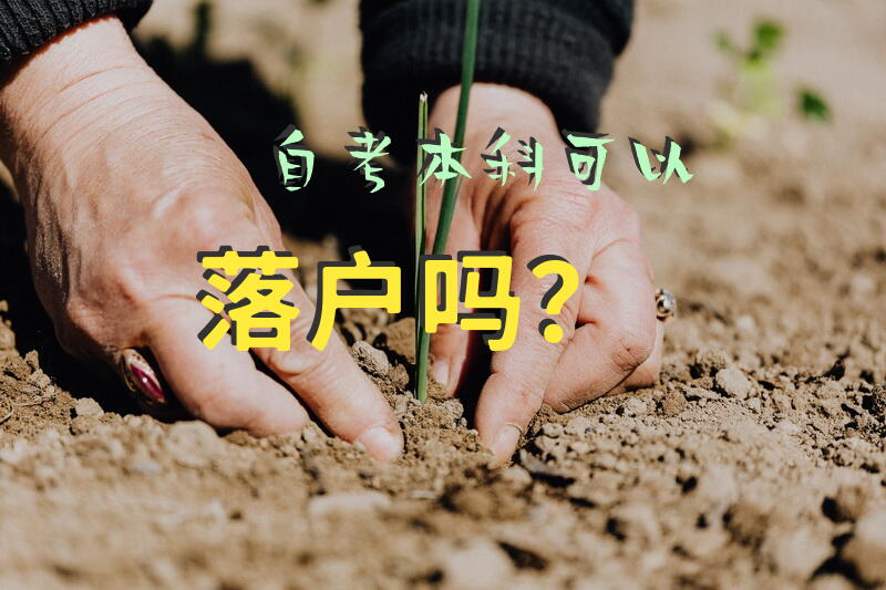 自考本科可以落户吗？