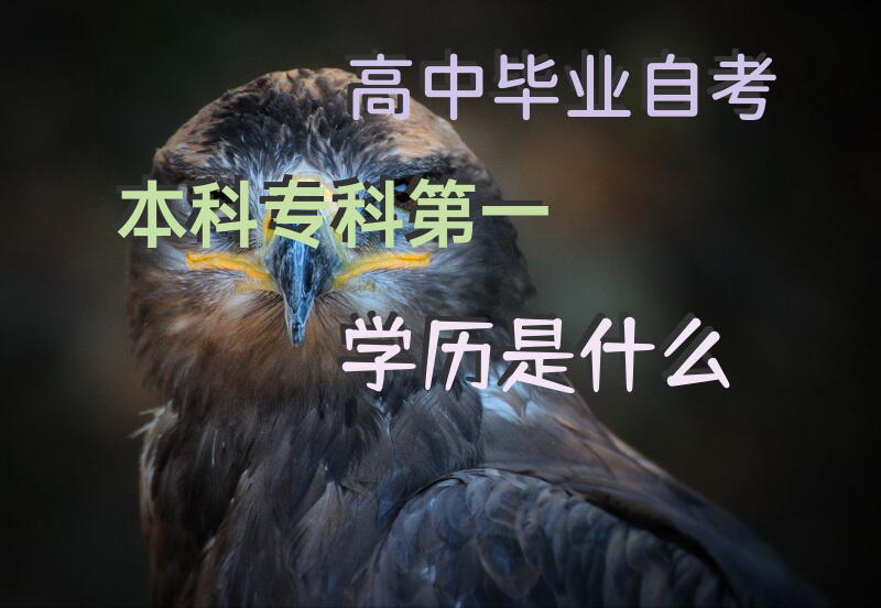 高中毕业自考本科专科第一学历是什么？
