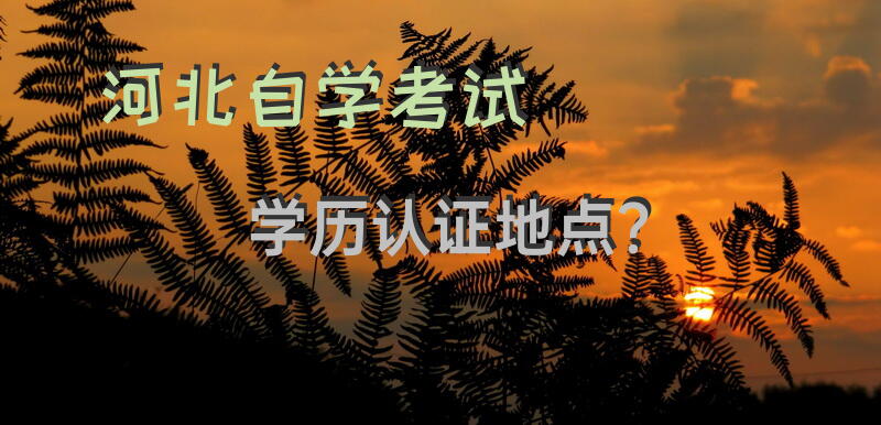 河北自学考试学历认证地点？