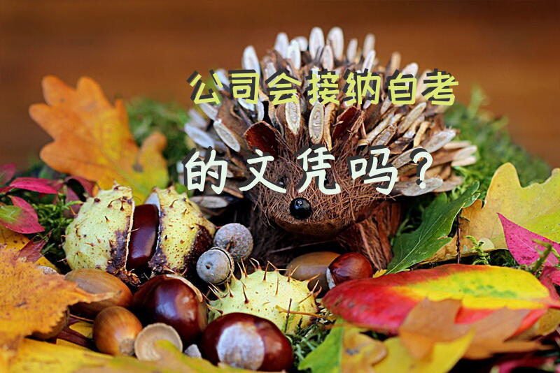 公司会接纳自考的文凭吗？