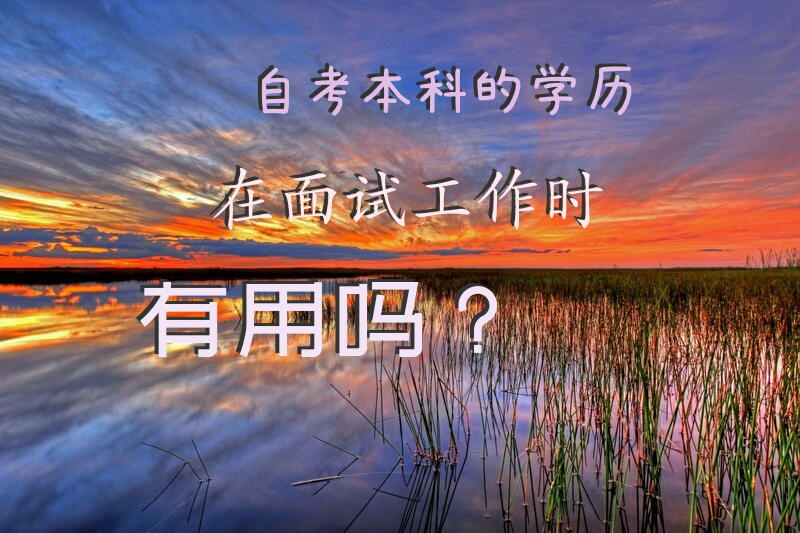自考本科的学历，在面试工作时有用吗？