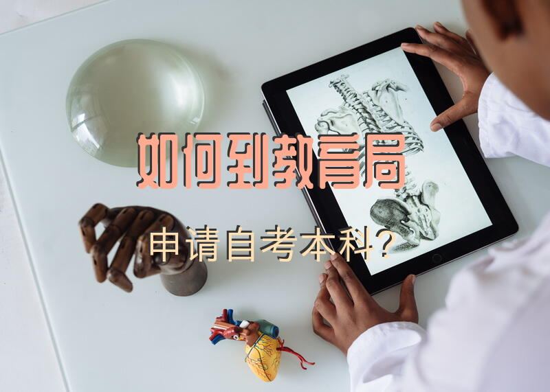 如何到教育局申请自考本科？