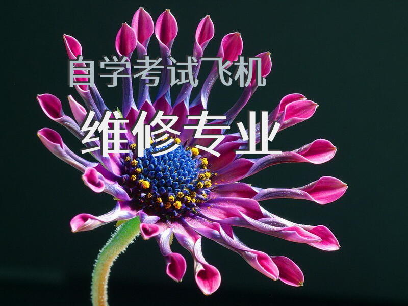 自学考试飞机维修专业