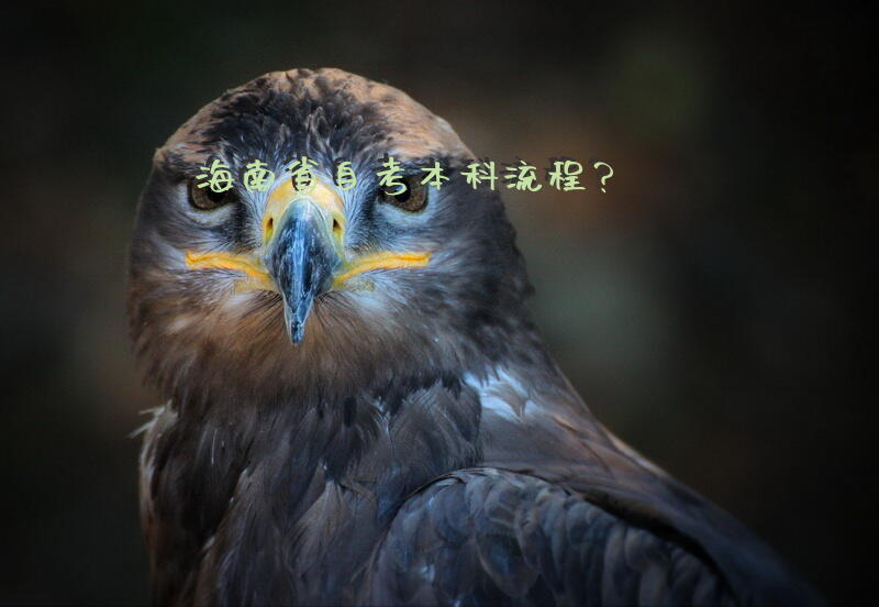 海南省自考本科流程？