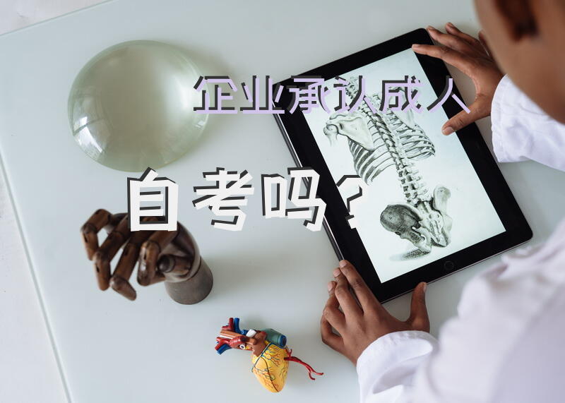 企业承认成人自考吗？