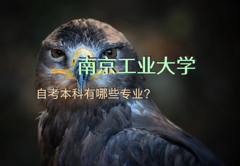 南京工业大学自考本科有哪些专业？