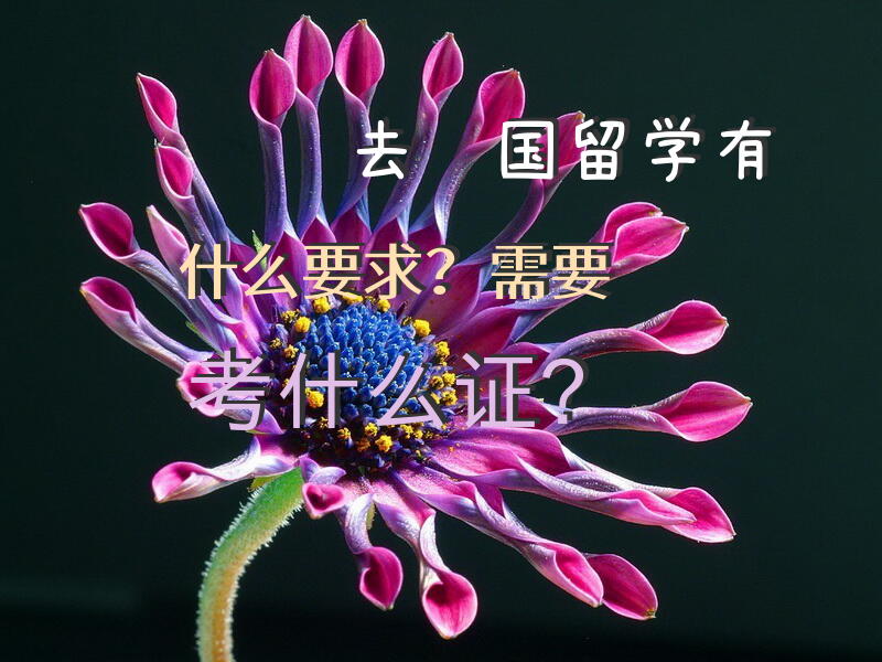 去韩国留学有什么要求？需要考什么证？