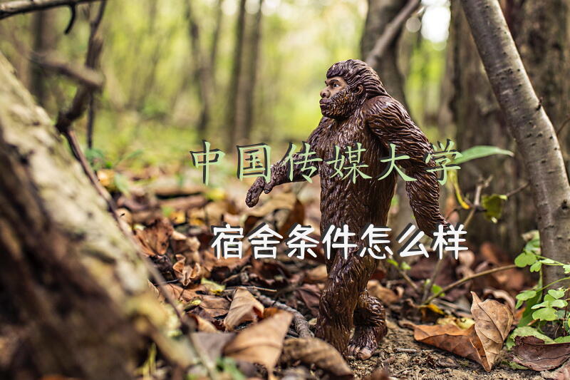 中国传媒大学宿舍条件怎么样？