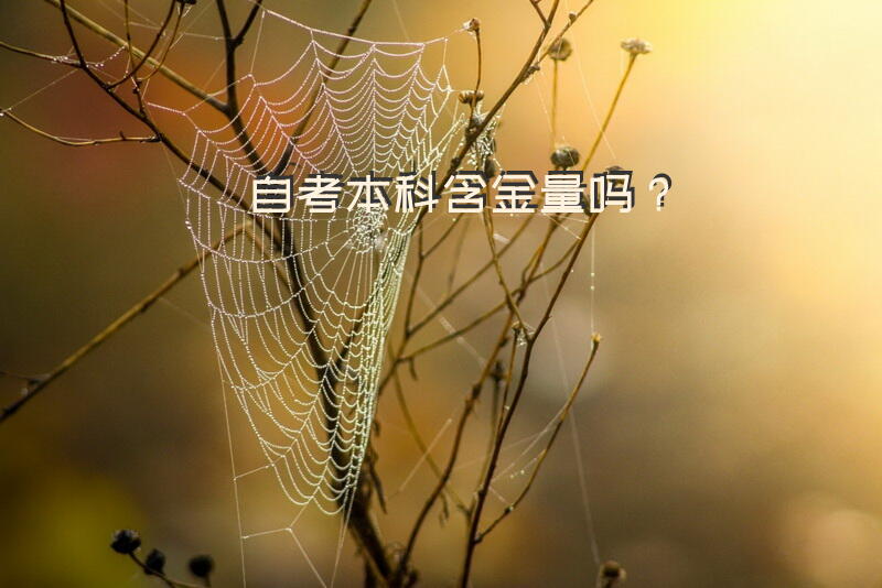 自考本科含金量吗？