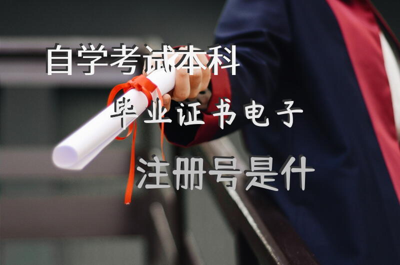 自学考试本科毕业证书电子注册号是什？