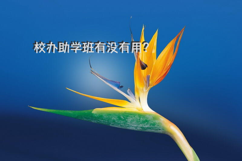 校办助学班有没有用？